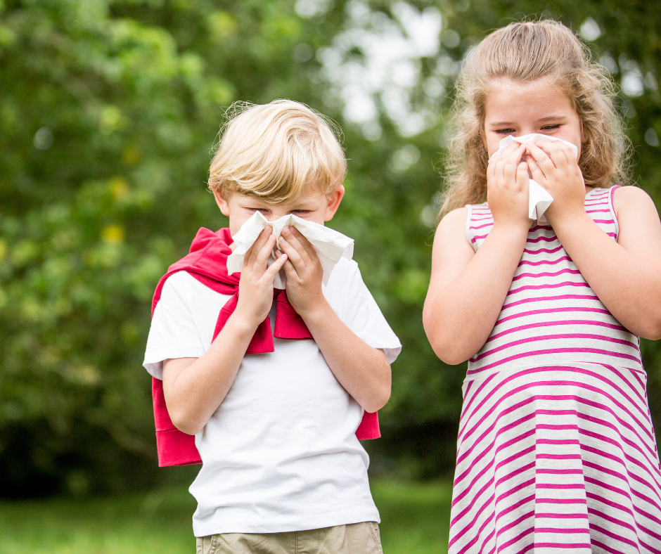 How to Get Rid of Allergies